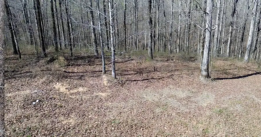 0 Owl Circle, Hurricane Mills, TN 37078 - #2