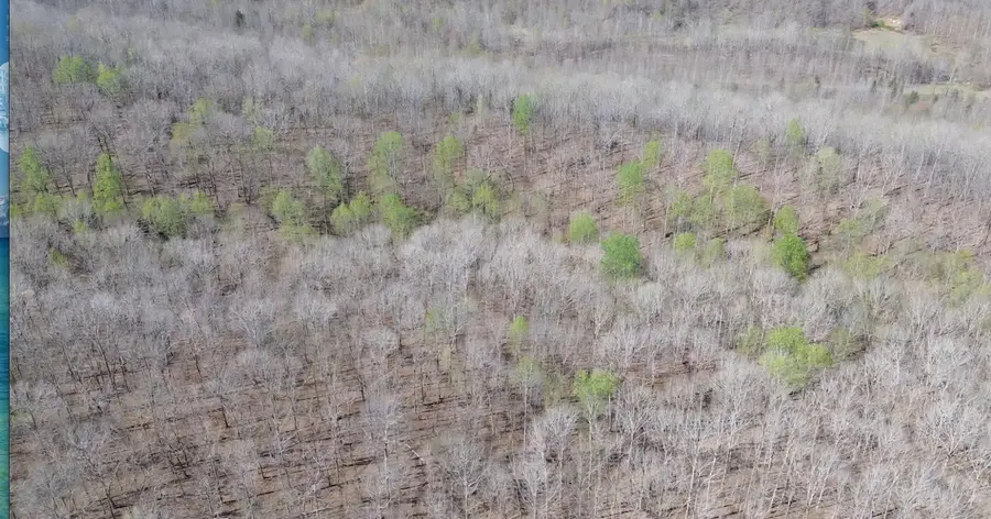 0 Owl Circle, Hurricane Mills, TN 37078 - #3