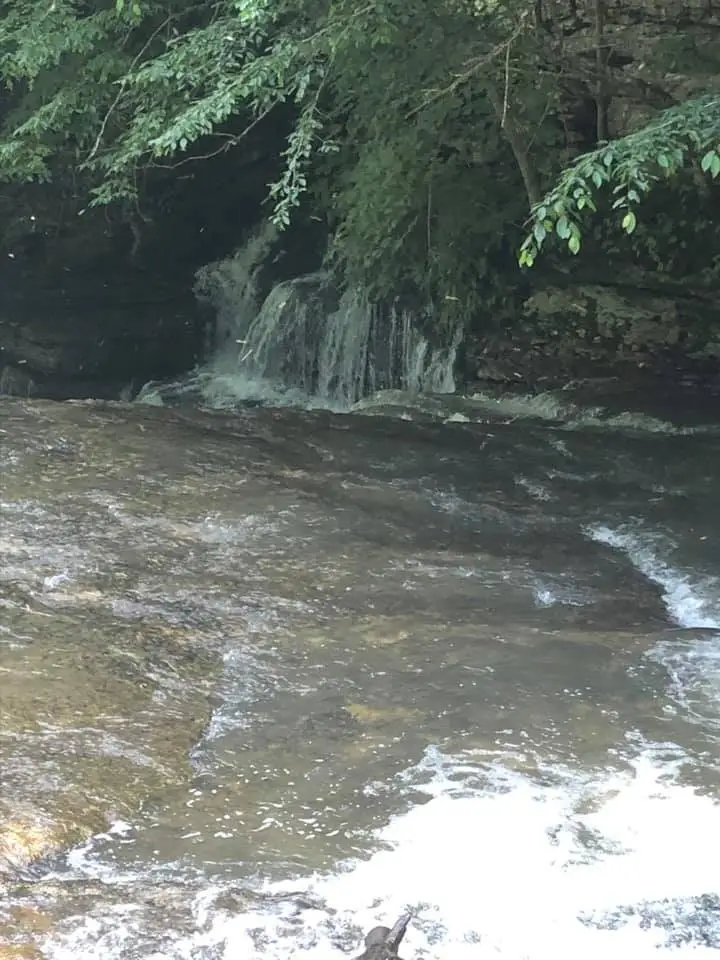 175 Luna Mill Rd, Smithville, TN 37166 - #2