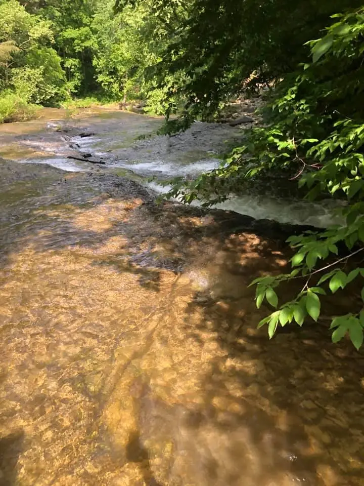 175 Luna Mill Rd, Smithville, TN 37166 - #3