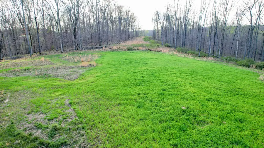 0 Bell Hollow Road, Vanleer, TN 37181 - #2