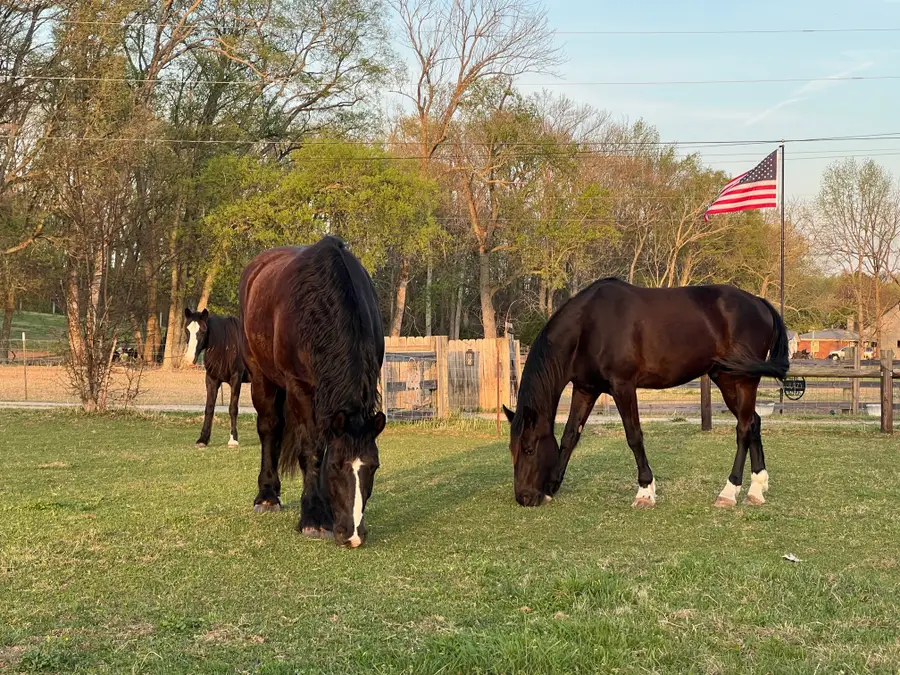 660 Allisona Rd, Eagleville, TN 37060 - #2