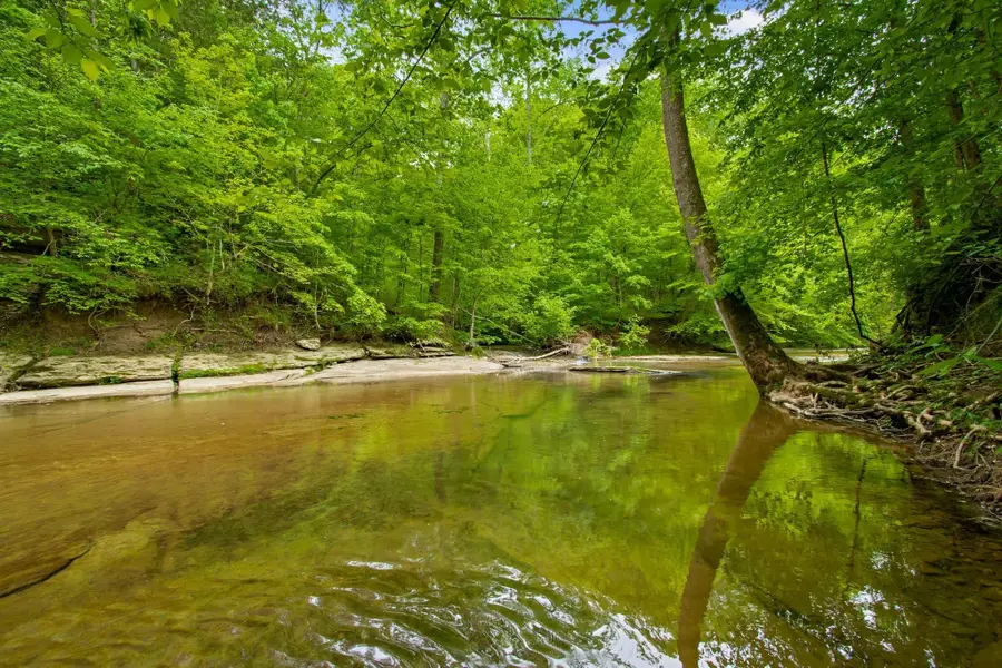 0 Crow Cut Rd, Fairview, TN 37062 - #2