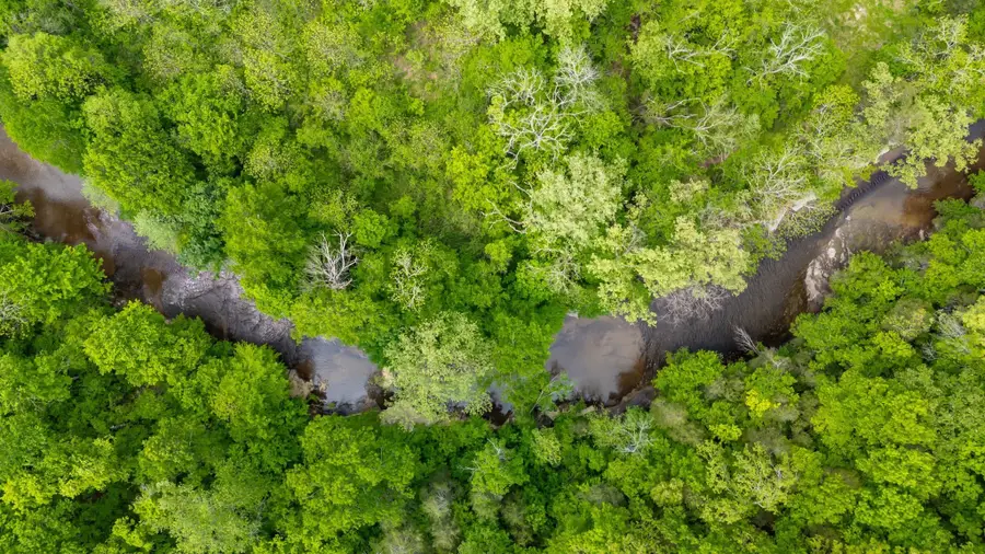 0 Crow Cut Rd, Fairview, TN 37062 - #3