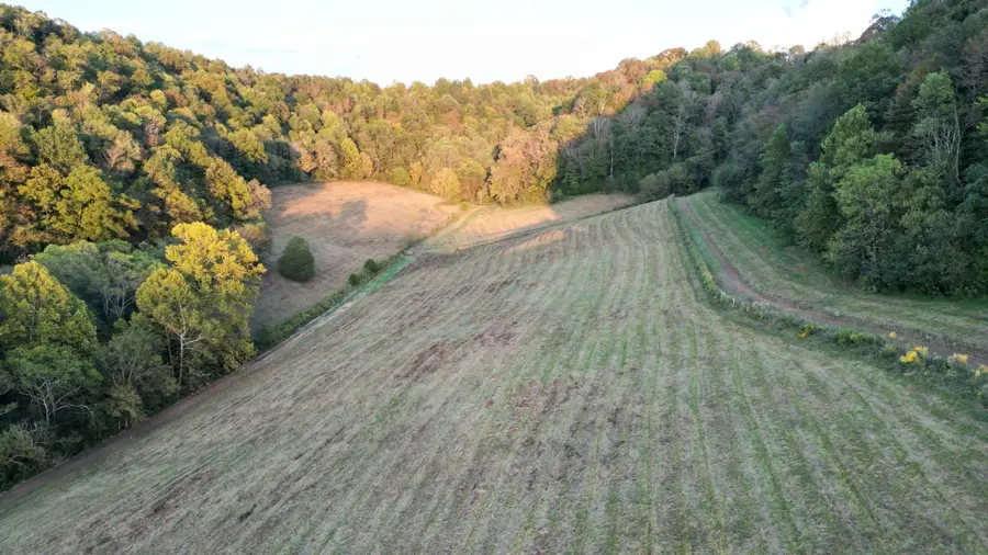 46 Carver Hollow Lane, Pleasant Shade, TN 37145 - #2