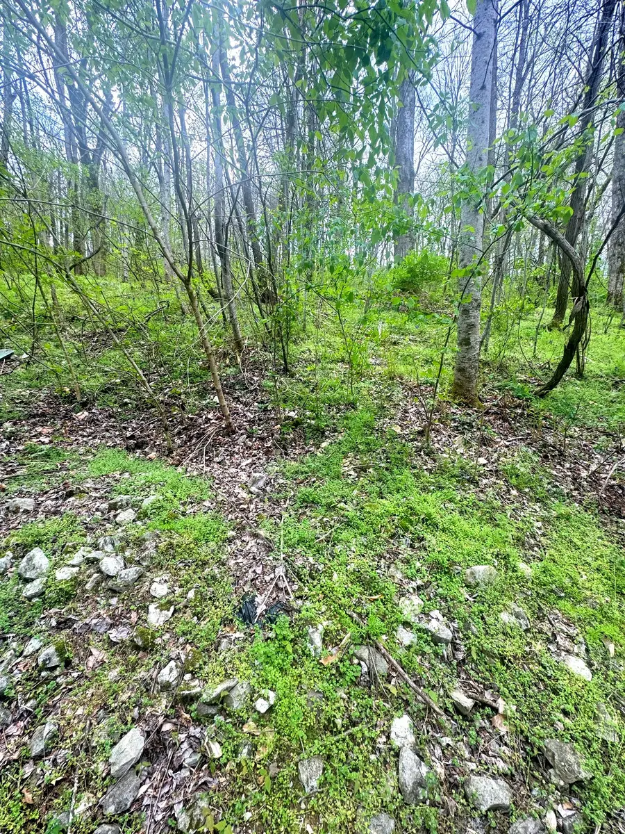 0 Lakeview Dr, Smithville, TN 37166 - #2