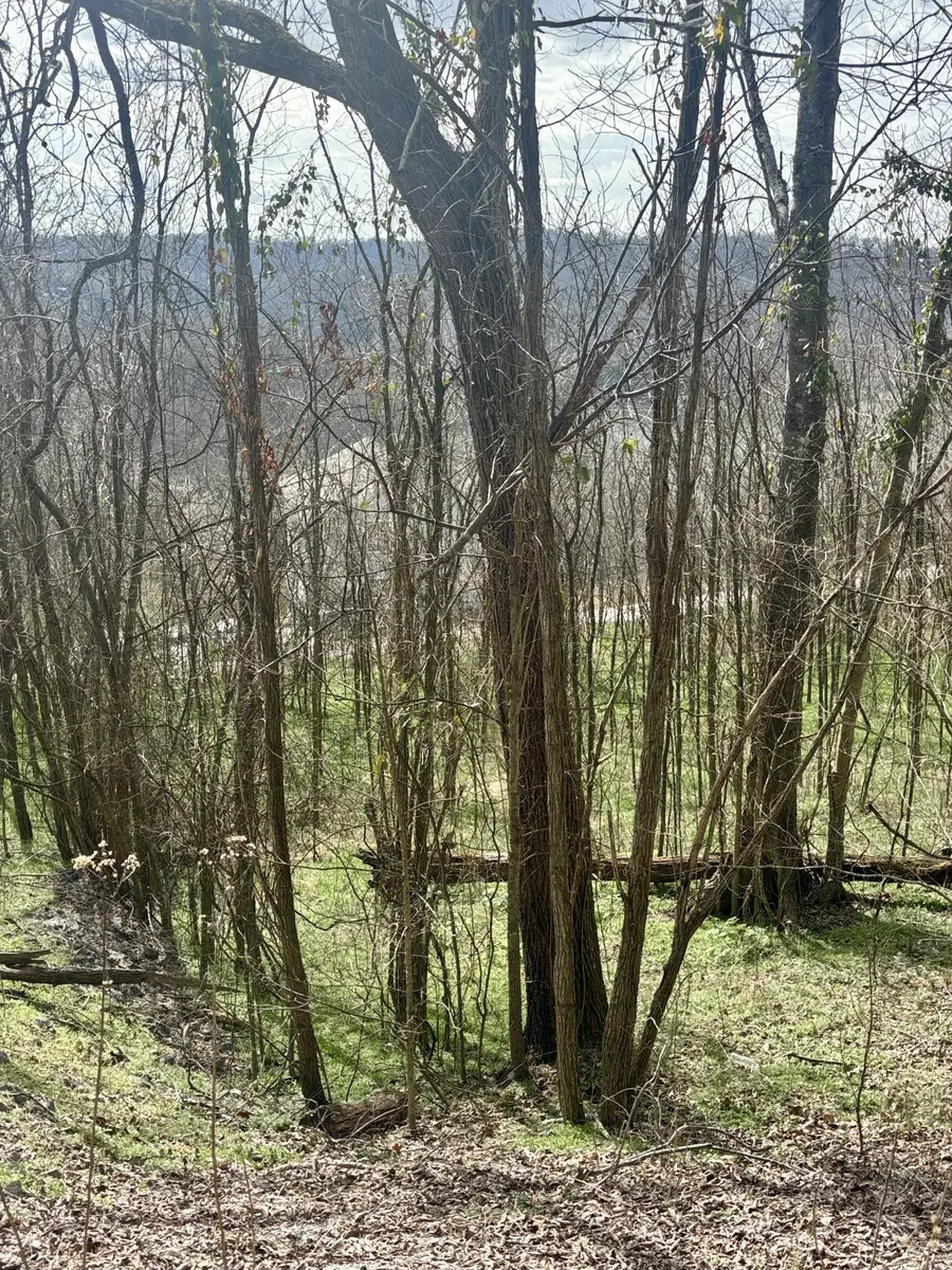 323 Seaton Dr, Smithville, TN 37166 - #2