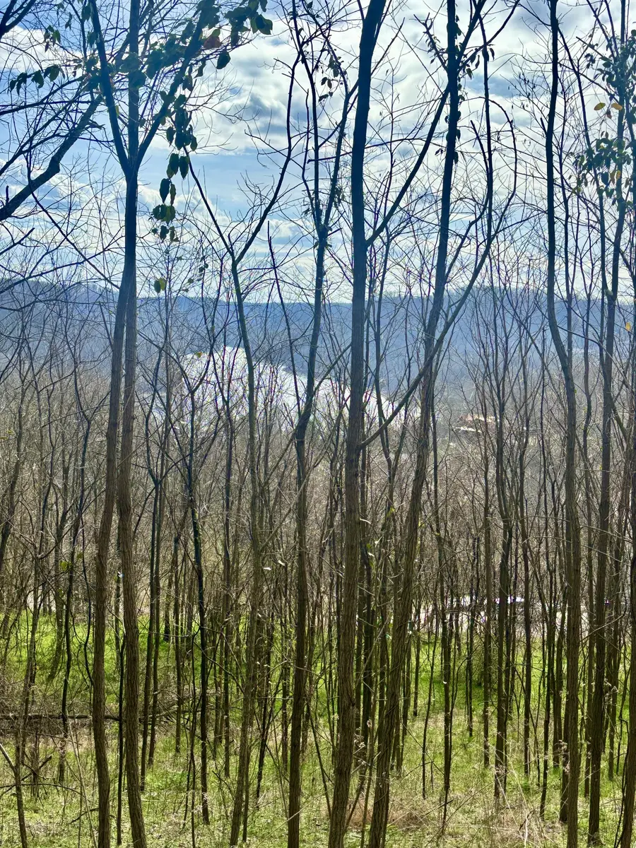 323 Seaton Dr, Smithville, TN 37166 - #3