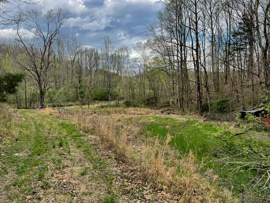 1755 Williams Rd, Centerville, TN 37033 - #3