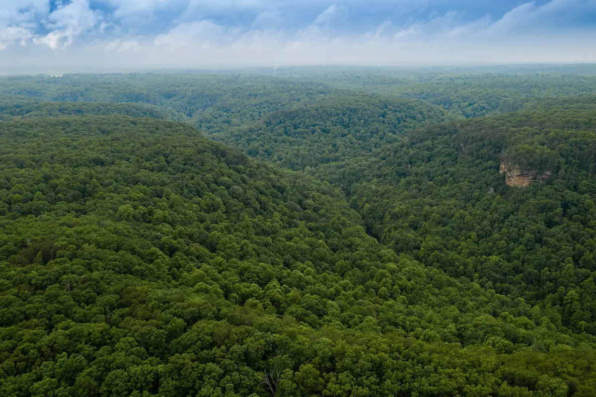 916 N Rim Drive, Coalmont, TN 37313 - #1