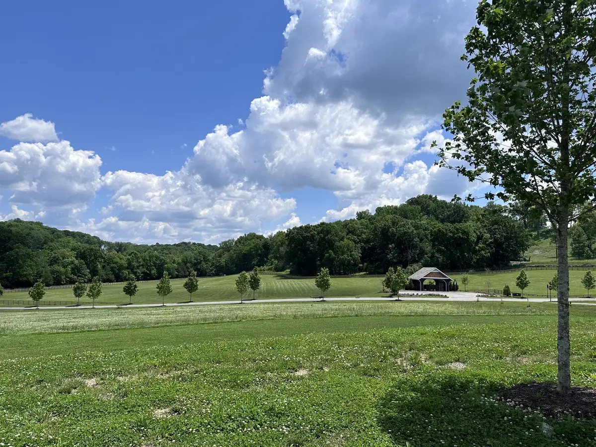 9004 Passiflora Ct, College Grove, TN 37046 - #1