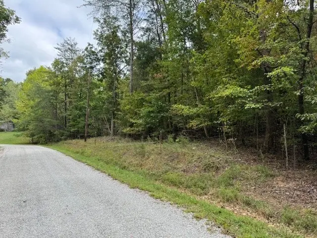 146 Till Rd, Hohenwald, TN 38462 - #2