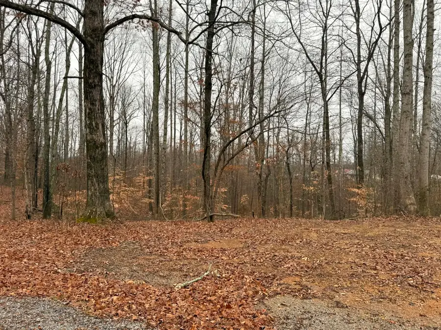 0 Periwinkle Path, Leoma, TN 38468 - #3