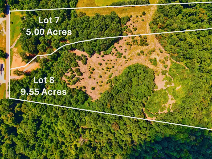 4200 Shiloh Canaan Rd, Palmyra, TN 37142 - #2