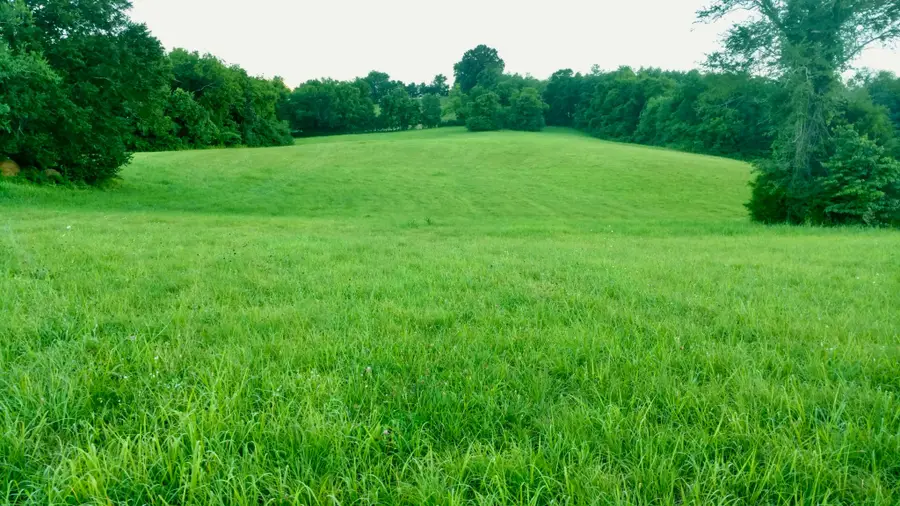 0 Clear Creek Road, Pulaski, TN 38478 - #3