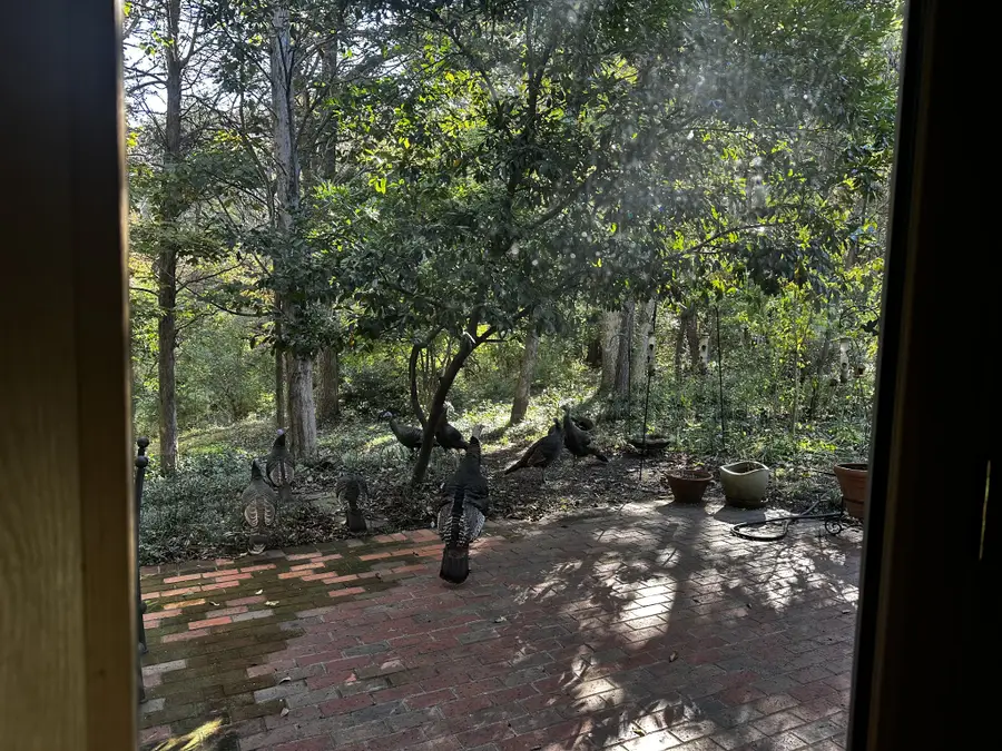 2004 Otter Creek Rd, Nashville, TN 37215 - #3