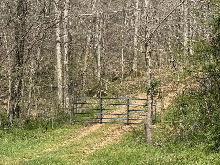 0 Allens Creek Rd, Hohenwald, TN 38462 - #2