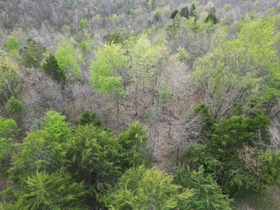 0 Allens Creek Rd, Hohenwald, TN 38462 - #3