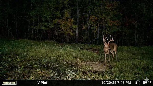 0 Elk Drive, Hurricane Mills, TN 37078