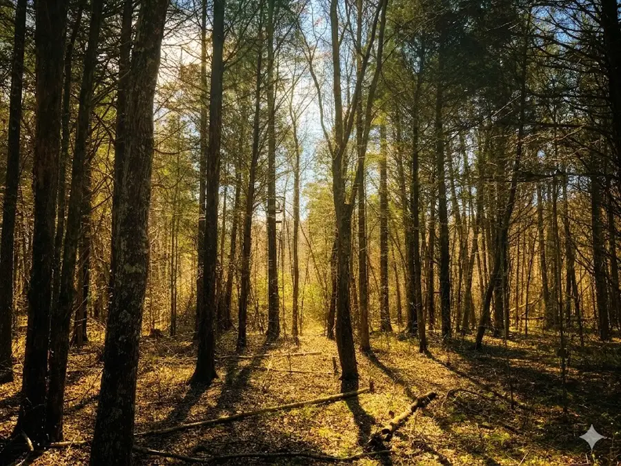 0 Elk Drive, Hurricane Mills, TN 37078 - #3