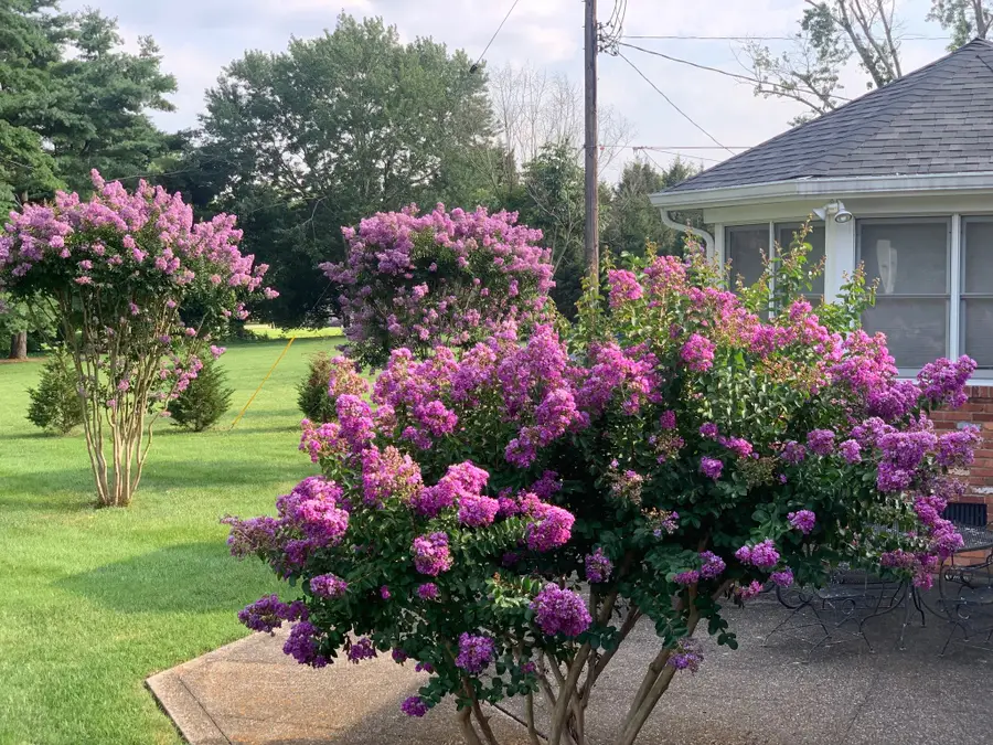 516 Meadowlark Ln, Brentwood, TN 37027 - #2