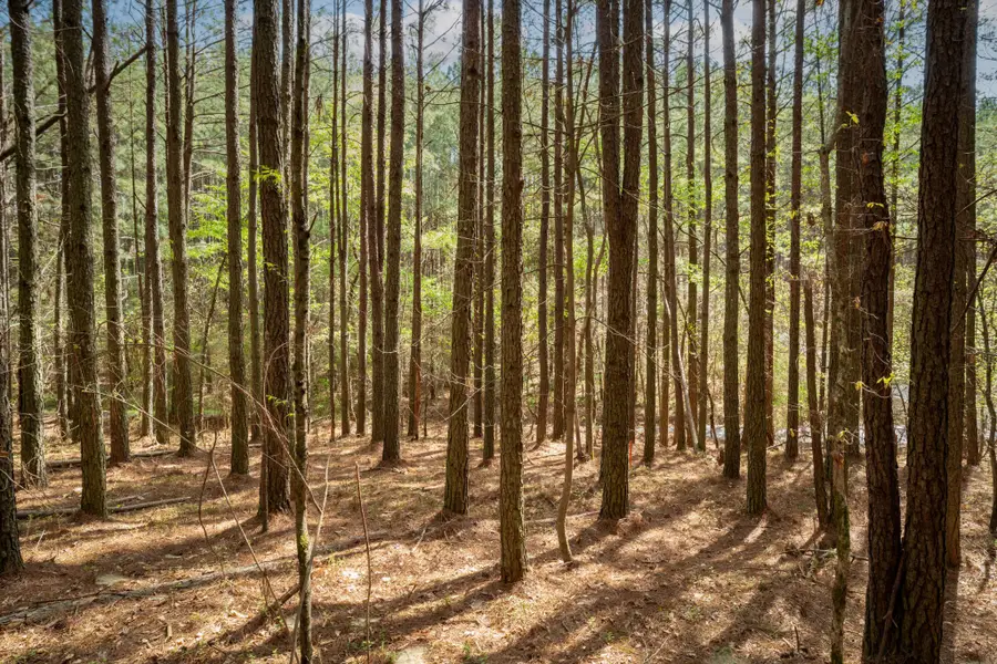 1637 Billingsley Road, Soddy Daisy, TN 37379 - #2