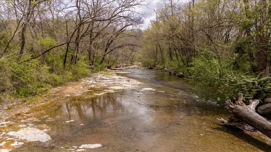 0 Dry Weakley Rd, Ethridge, TN 38456 - #3