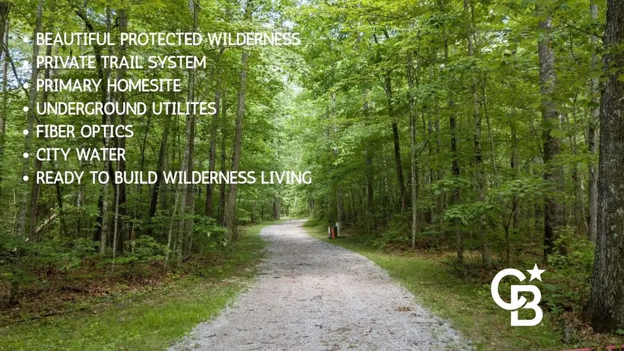 0 Woodfern Ln, Coalmont, TN 37313 - #2