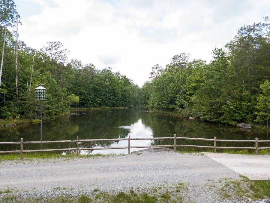 0 Woodfern Ln, Coalmont, TN 37313 - #3