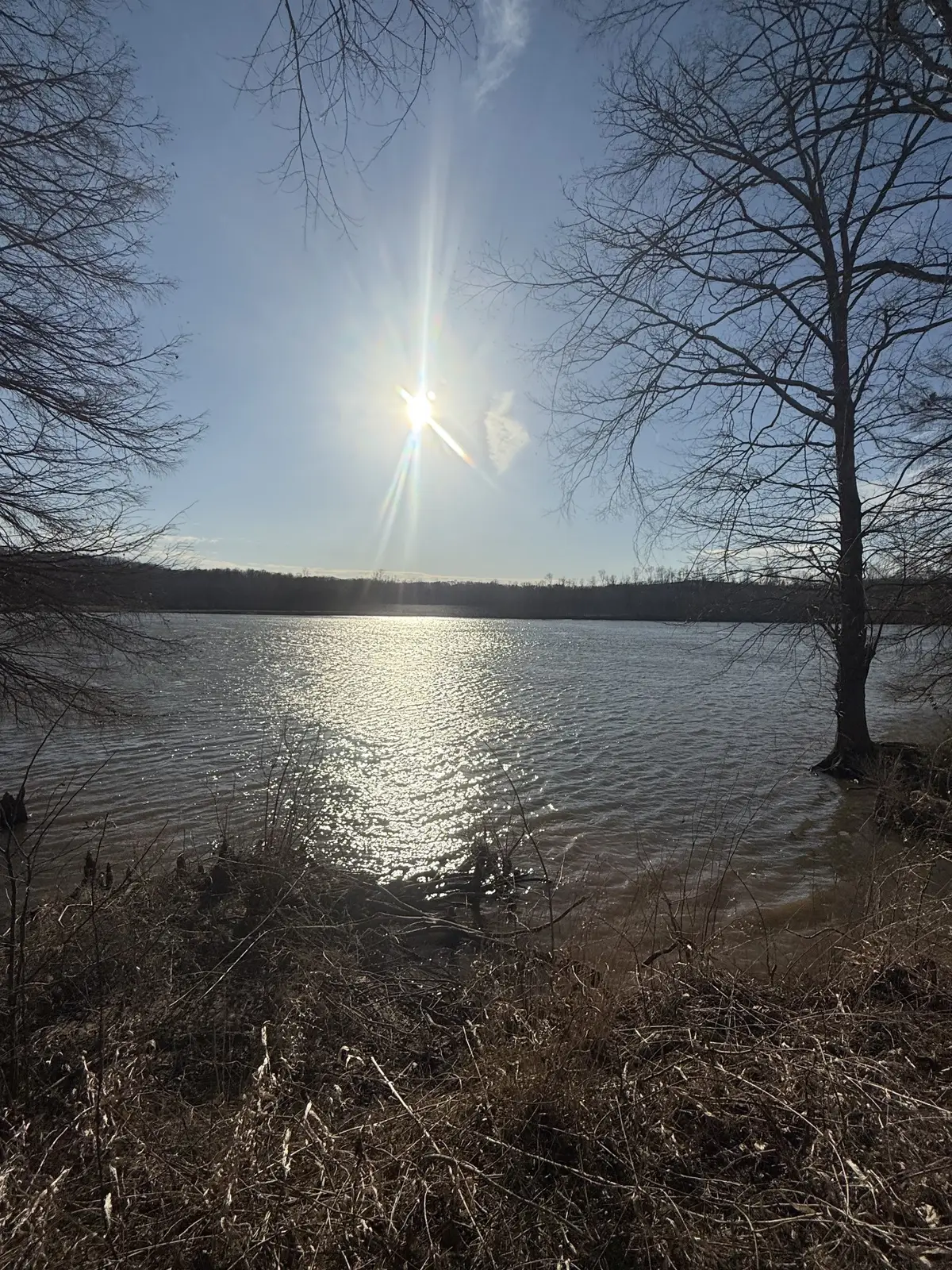 415 Hardin Bottom Rd, Clifton, TN 38425 - #1