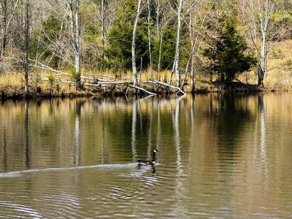 1565 Old Hwy Number One, Dickson, TN 37055 - #1