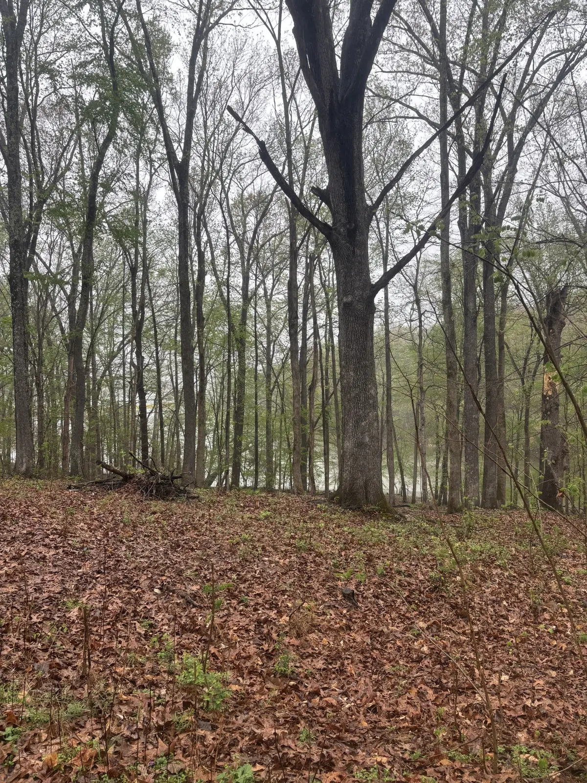 0 Waters Edge Lane, Bumpus Mills, TN 37028 - #1