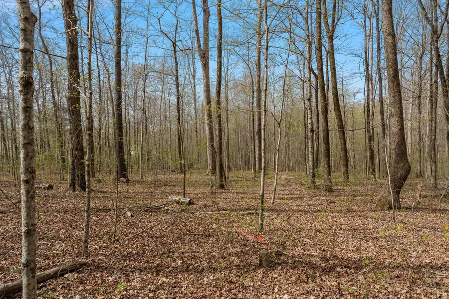 0 Natchez Trace Rd, Franklin, TN 37064 - #2