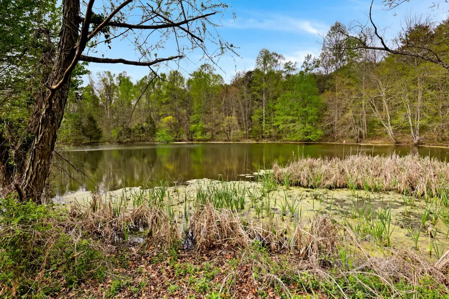 905 Co Rd 655, Athens, TN 37303 - #2