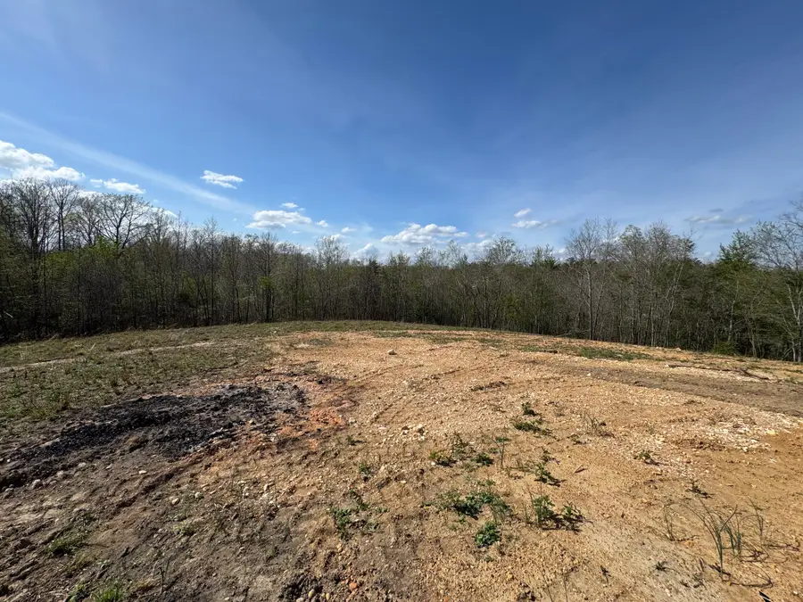 119 Pondview Dr, Hohenwald, TN 38462 - #3