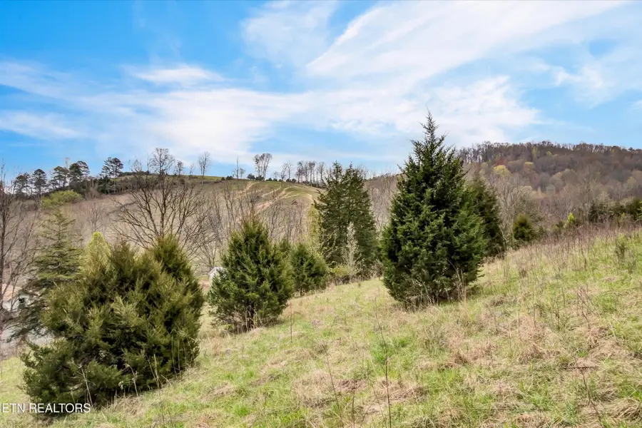 290 Maddox Lane, New Tazewell, TN 37825 - #2