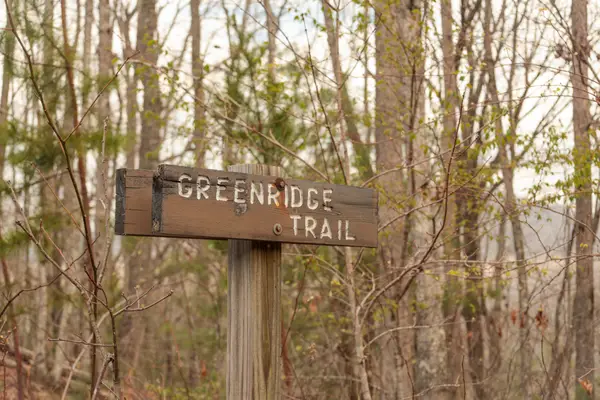 0 Green Ridge Trail, Oakdale, TN 37829