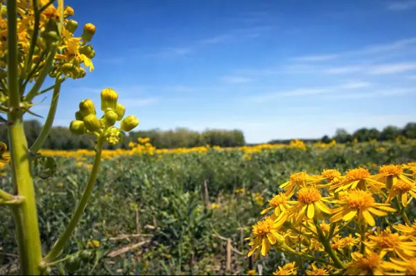 0 Valley Rd, Lawrenceburg, TN 38464