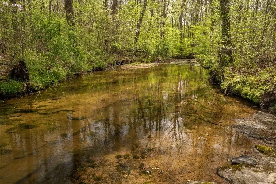 40 Rb Brown Rd, Leoma, TN 38468 - #3