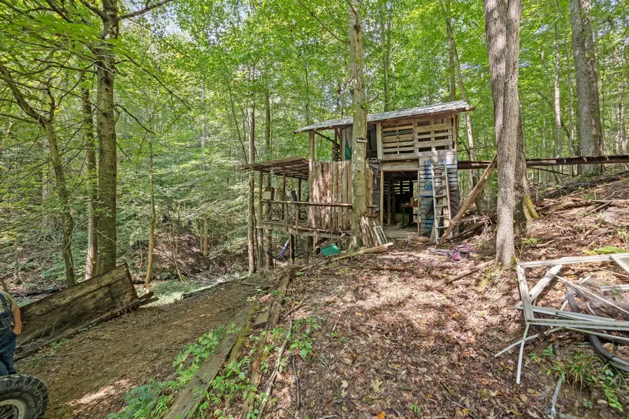 225 Richardson Ln, Gainesboro, TN 38562 - #3