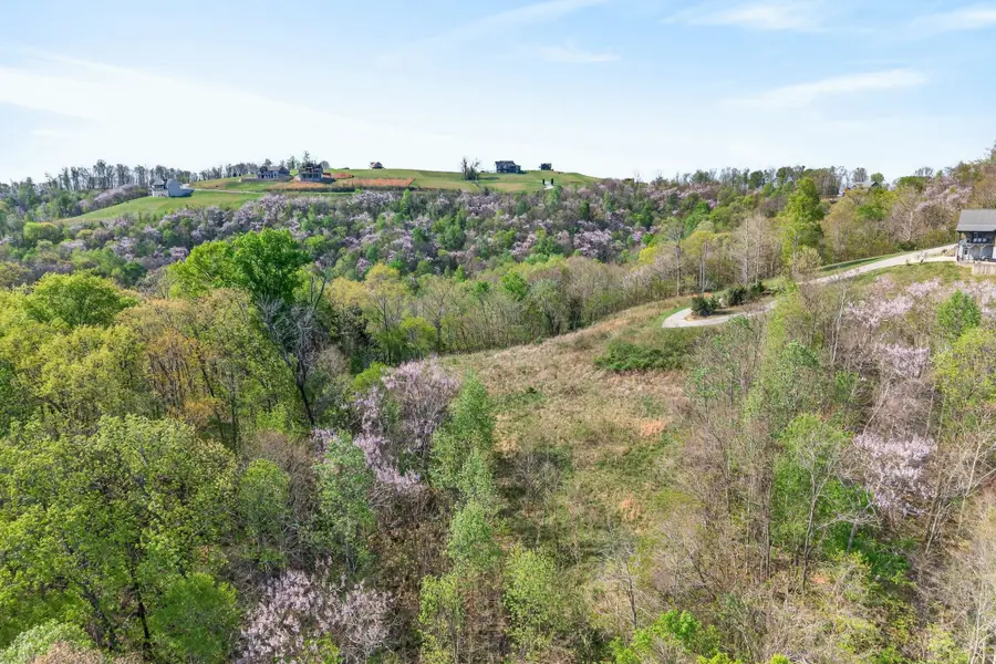 0 Goose Road, Hilham, TN 38568 - #3