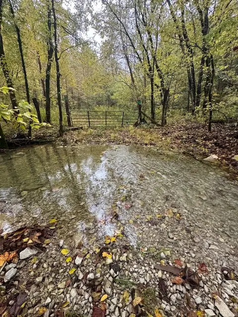 0 Mcbroom Branch Rd, Baxter, TN 38544 - #1