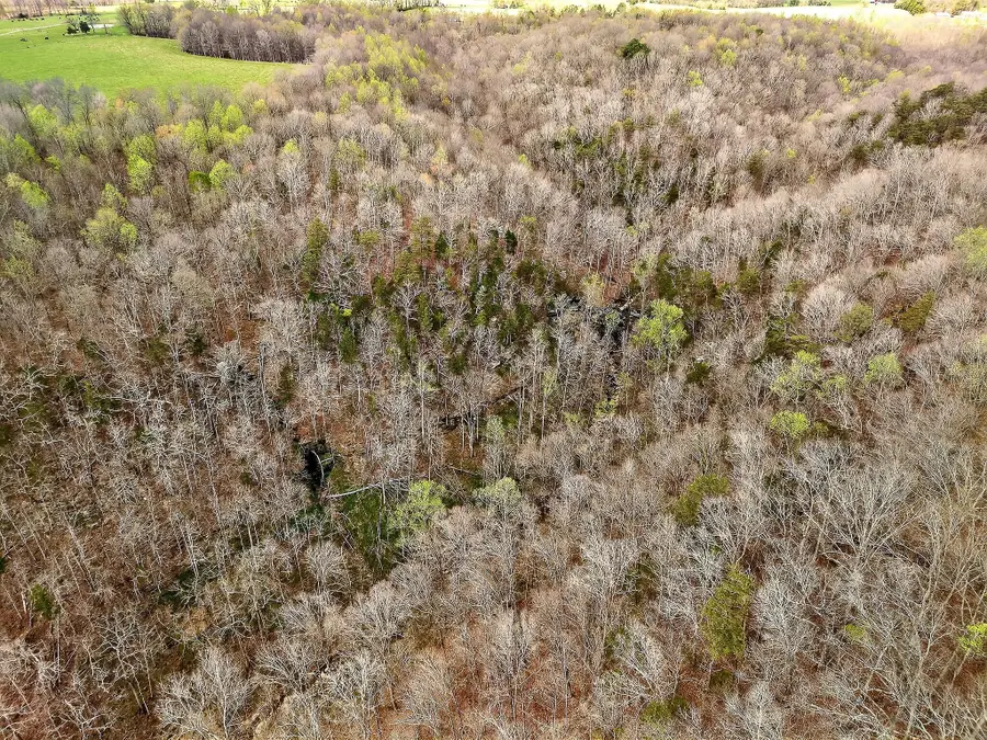 0 Poplar Springs Rd, Cookeville, TN 38506 - #2