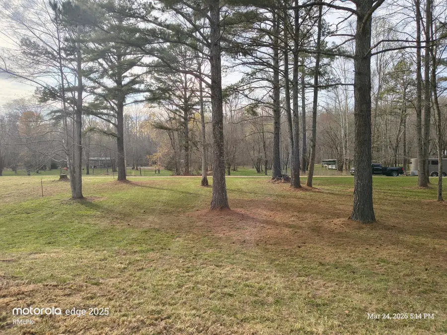 165 Barnes Lake Rd, Hohenwald, TN 38462 - #3