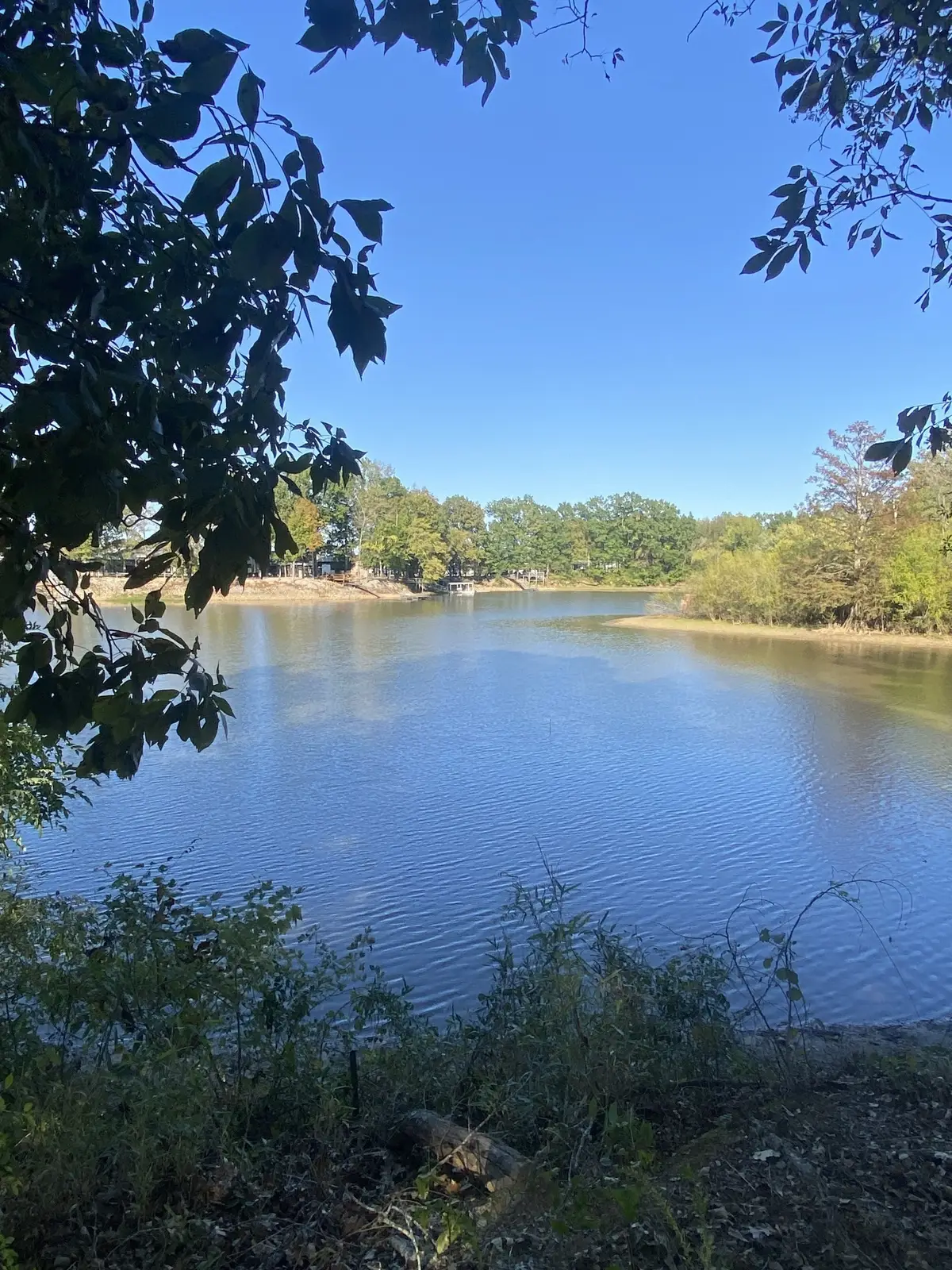 442 Duck Blind Rd, Clifton, TN 38425 - #1