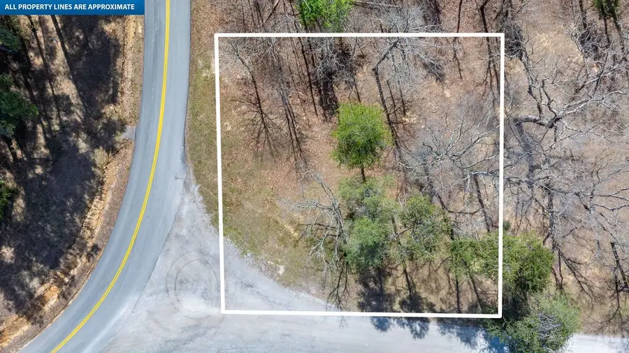 20598 Macedonia Church Rd, Dawson Springs, KY 42408 - #3
