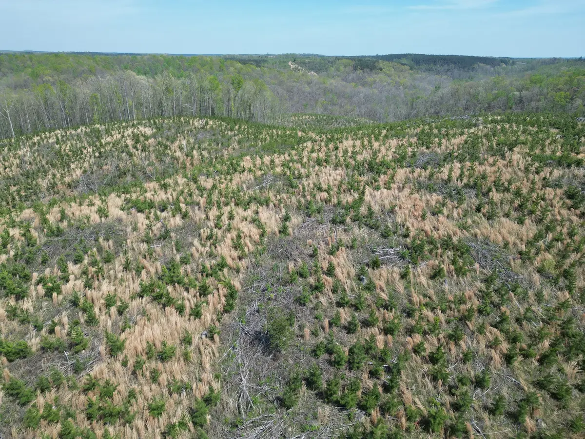 0C Waynesboro Hwy, Waynesboro, TN 38485 - #1