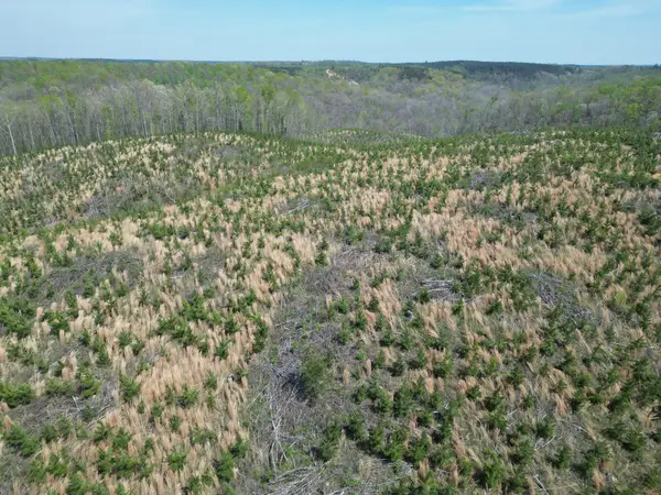 0C Waynesboro Hwy, Waynesboro, TN 38485