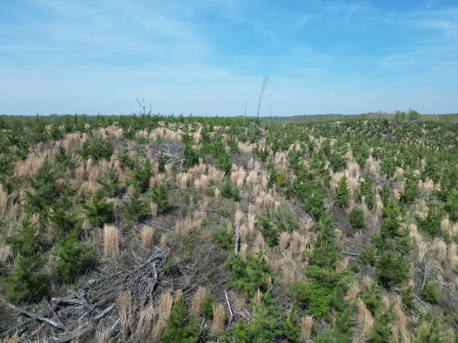 0C Waynesboro Hwy, Waynesboro, TN 38485 - #2