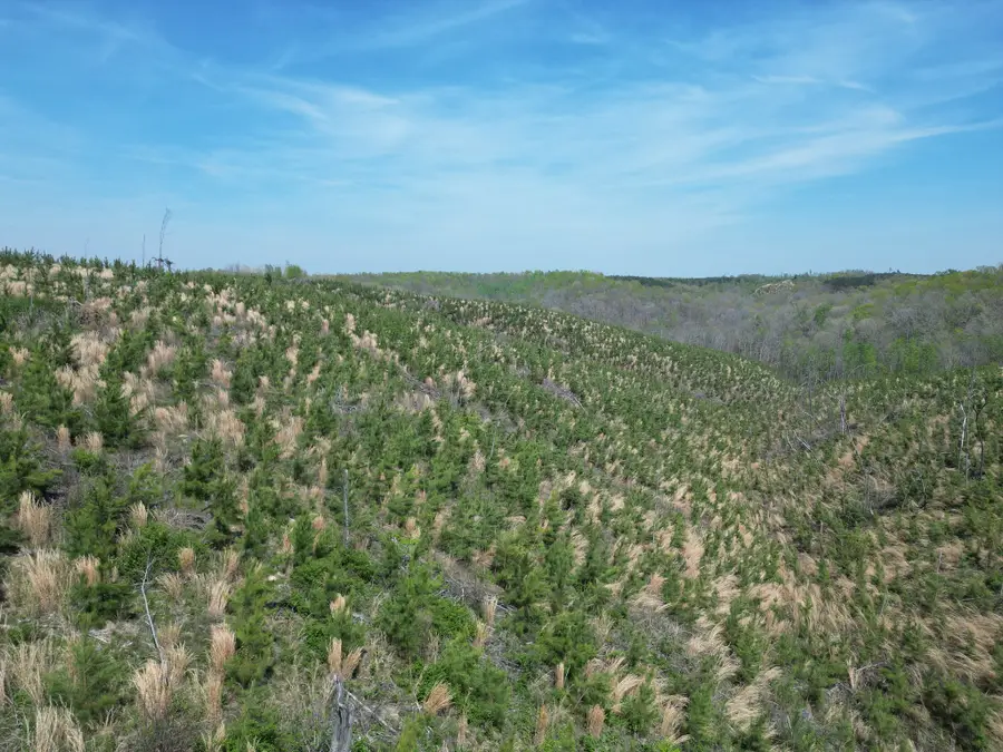 0C Waynesboro Hwy, Waynesboro, TN 38485 - #3